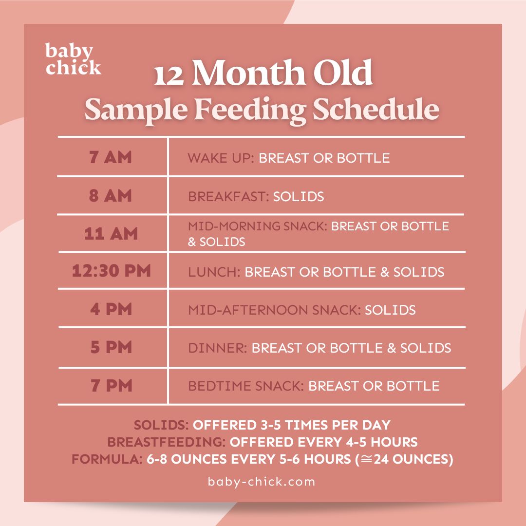 A 12 month old baby feeding schedule from Baby Chick outlines wake-up, breakfast, mid-morning snack, lunch, afternoon snack, dinner, and bedtime snack times. It includes breastfeeding or bottle feeding and solid foods at specific intervals to support your 12 month old baby's daily routine.