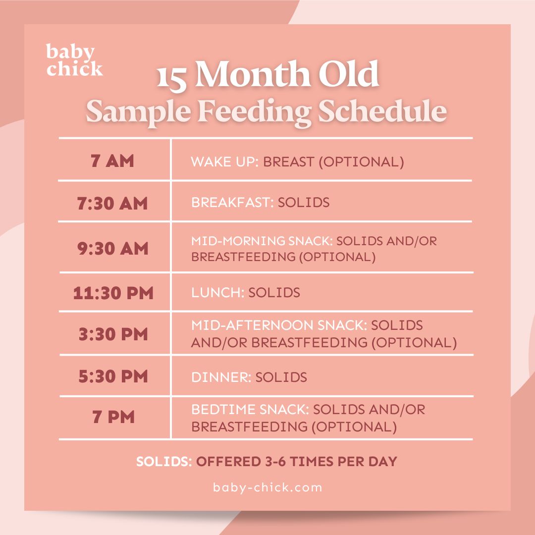 Sample feeding schedule for 15 month old baby from Baby Chick. The plan includes optional nursing at 7am, breakfast at 7:30am, snack at 9am, lunch at 11:30am, a short nap as part of the 15 month old baby sleep schedule, snack at 3:30pm, dinner at 5:30pm, and a bedtime snack at 7pm.