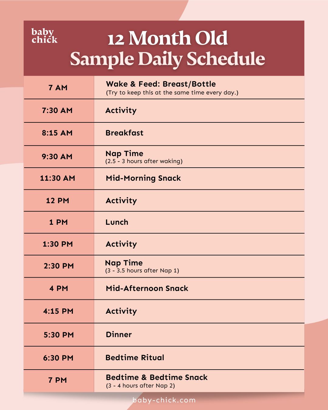 A sample daily schedule for a 12 month old baby from Baby Chick, with detailed activities from wake up at 7am to bedtime at 7pm, including feedings, naps, snacks, activities for a 12 month old baby, lunch, dinner and bedtime routine.
