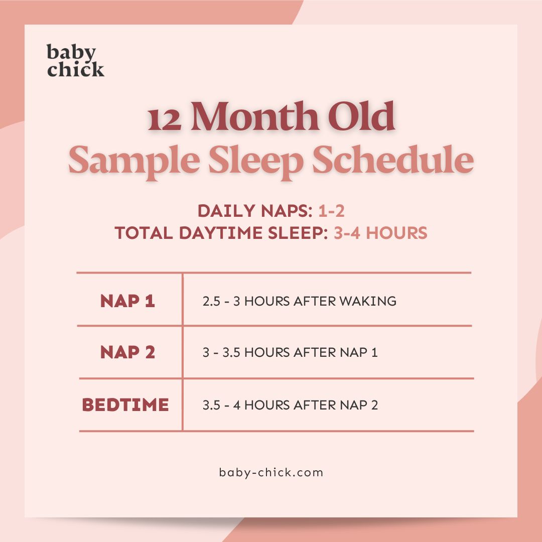 A graphic from Baby Chick shows the sleep schedule of a 12-month-old baby. It shows 1-2 naps per day, for a total of 3-4 hours of daytime sleep. Nap 1 is 2.5-3 hours after waking, nap 2 is 3-3.5 hours after nap 1, and bedtime is 3.5-4 hours after nap 2 - a key