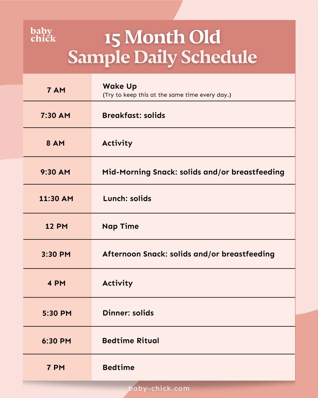 A sample daily routine for a 15 month old from Baby Chick. It includes specific times for wake-up, meals, snacks, activities for a 15 month old, nap, and bedtime. The routine starts at 7am with wake-up and ends at 7pm with bedtime.